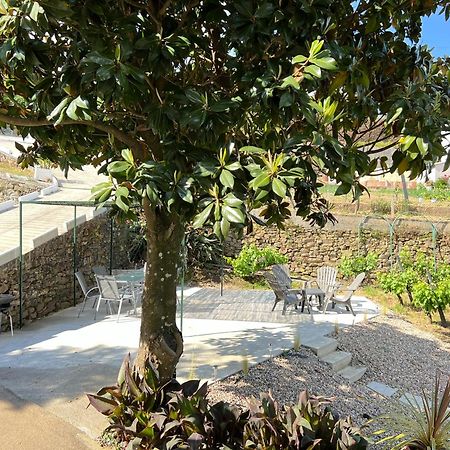 Villa Samaritana - Casa Da Vinha Vila Marim Dış mekan fotoğraf
